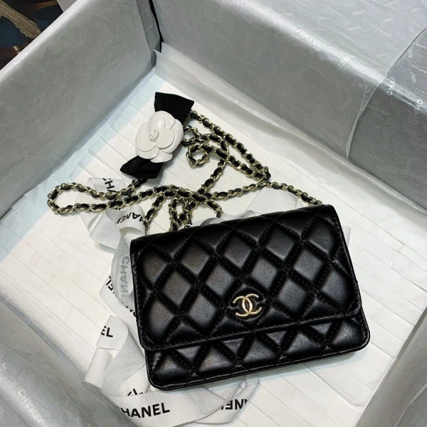 CHANEL MINI WALLET ON CHAIN StreetReady 1341 - Image 7