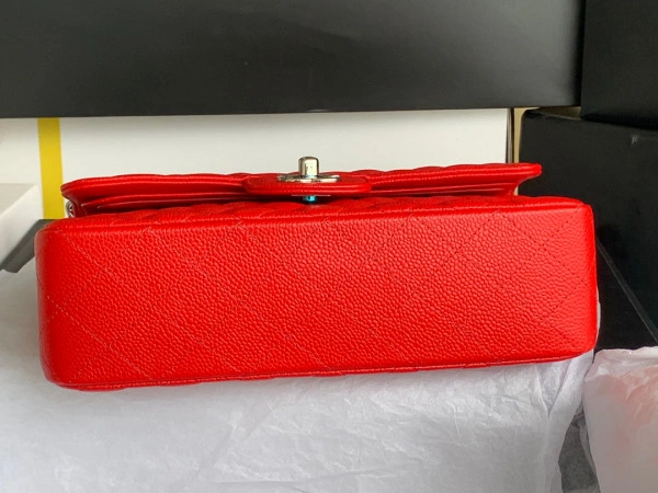 WellDesigned CHANEL FLAP BAG 23CM 435 - Image 6