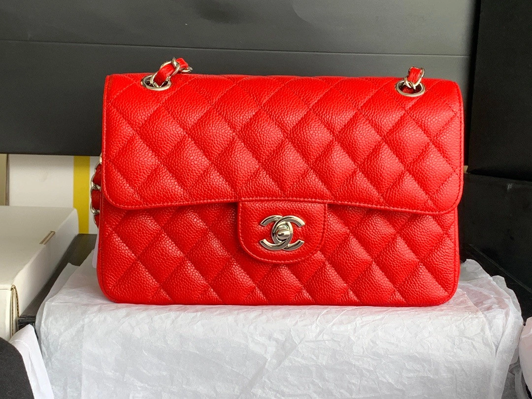 WellDesigned CHANEL FLAP BAG 23CM 435 - Image 3