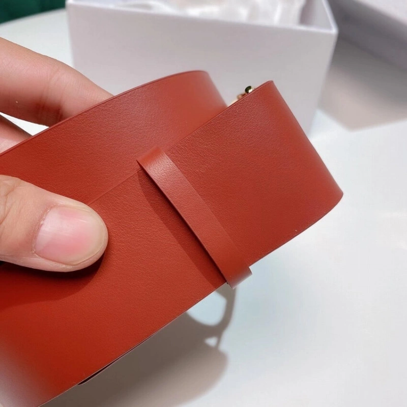 ‘Christia Christian Dior 30 Montaigne 40mm Belt - Image 8