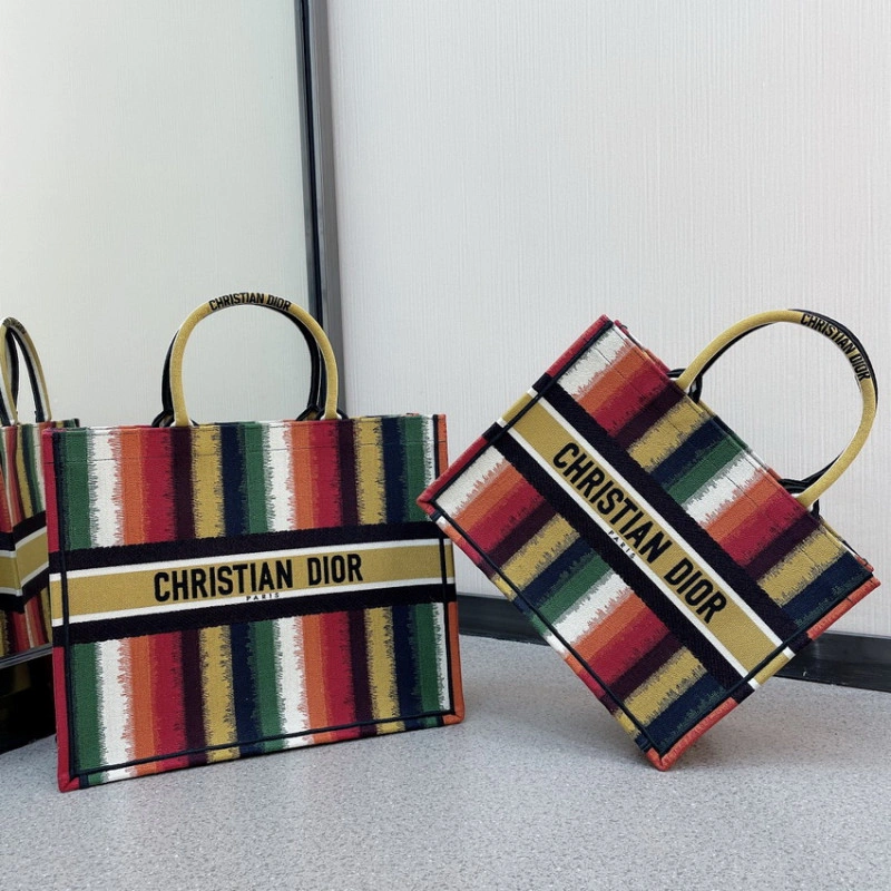 Can be ca Christian Dior Book Tote Multicolor D-Stripes Embroidery - Image 14