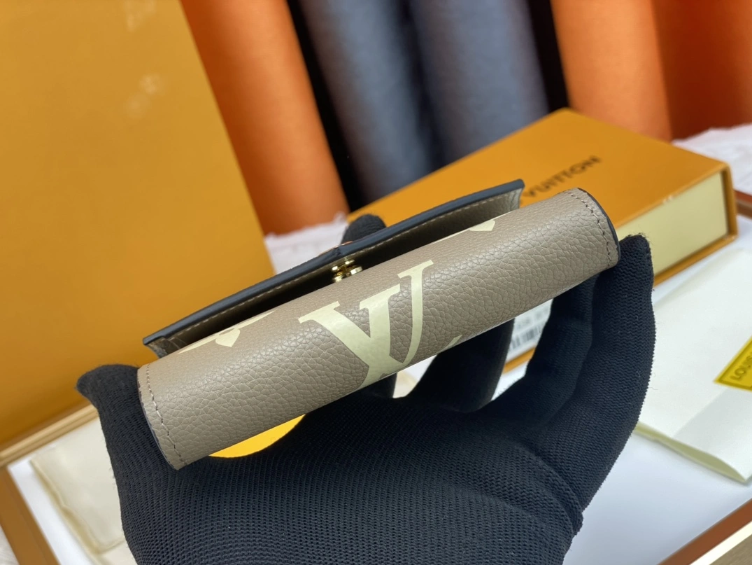 DailyWear 4260 Louis Vuitton AAA Quality Wallets - Image 5