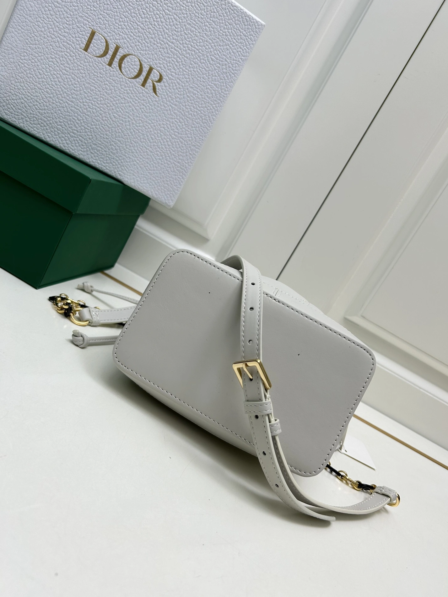 GoAnywhere 9819 Christian Dior AAA Quality Messenger Bags For Women - Image 6