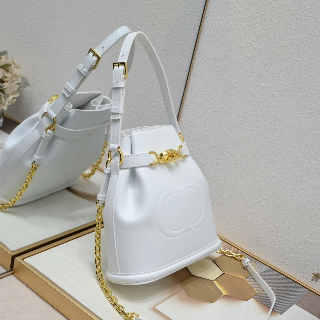 GoodFit 5918 Christian Dior AAA Quality Messenger Bags For Women