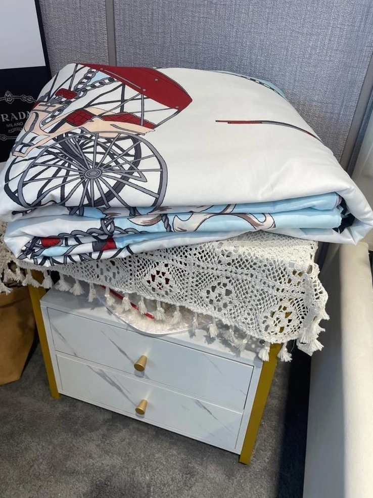 Hermes Bedding Minimalist 4685 - Image 5