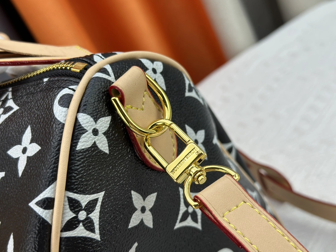 Louis Vuitton AAA Quality Handbags For Women GoAnywhere 9695 - Image 6