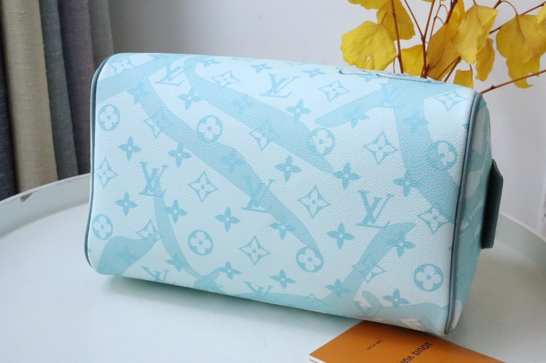 Louis Vuitton AAA Quality Handbags For Women GoodFit 3589 - Image 6