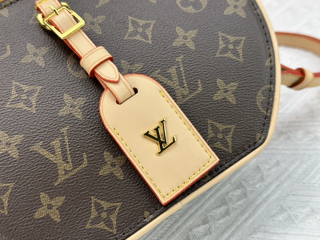 Louis Vuitton AAA Quality Messenger Bags For Women Stylish 4825 - Image 6