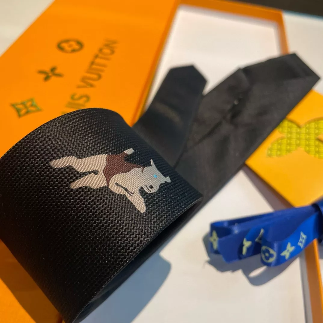 Louis Vuitton LV Necktie EasyMatch 5522 - Image 6