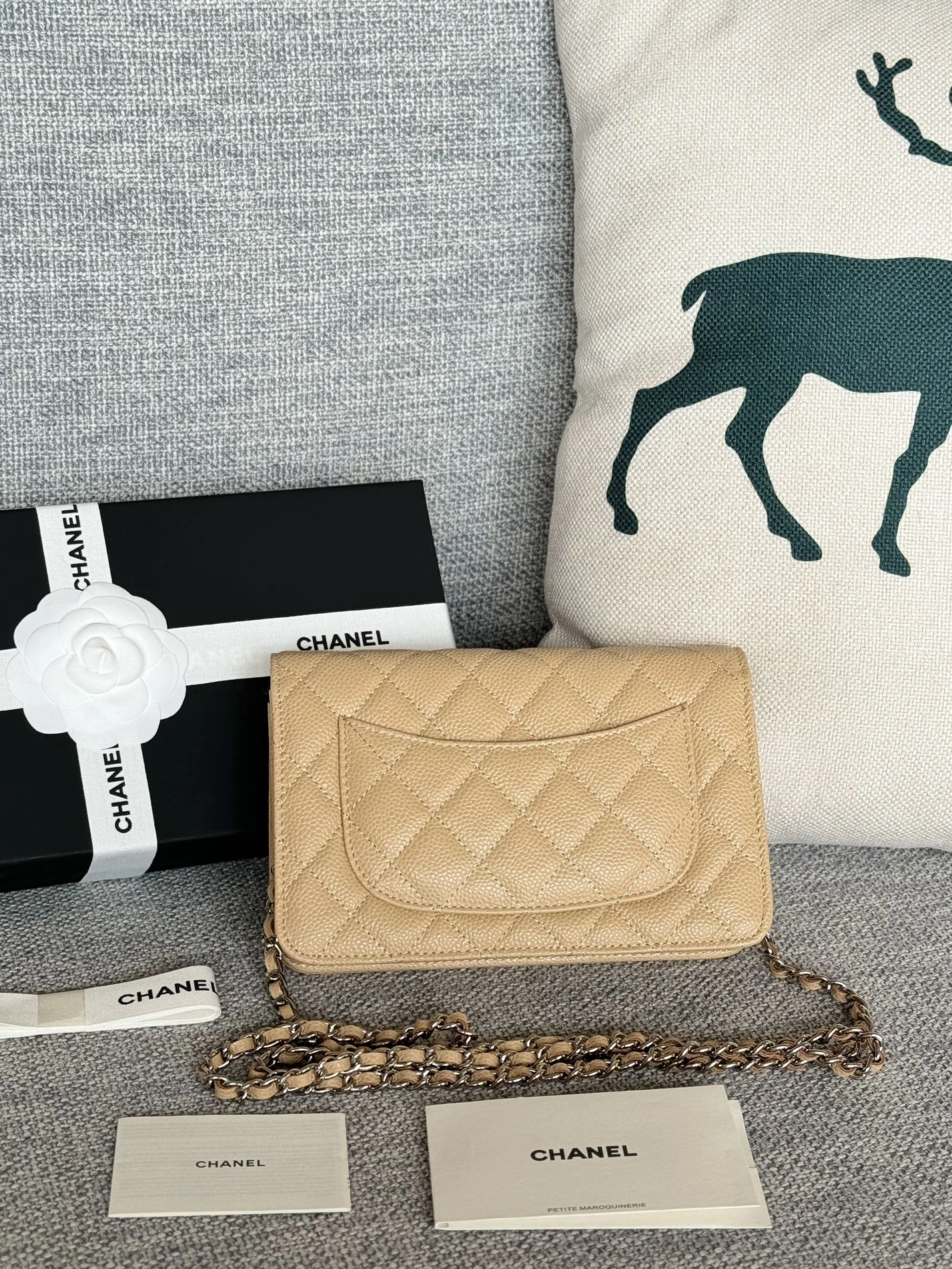 ModernLook 4538 Chanel AAA Quality Messenger Bags In Silver For Women