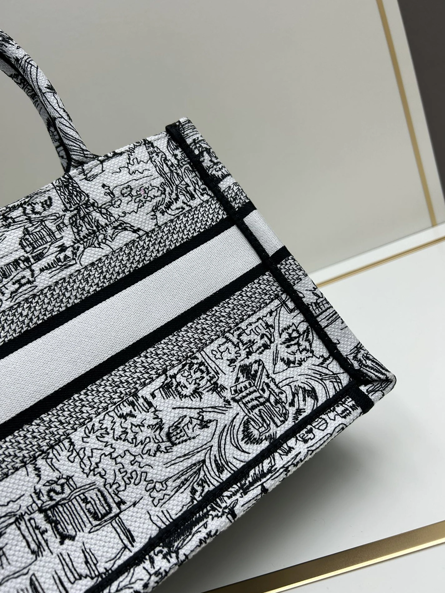 ModernLook 6032 Christian Dior AAA Quality Tote-Handbags For Women - Image 6