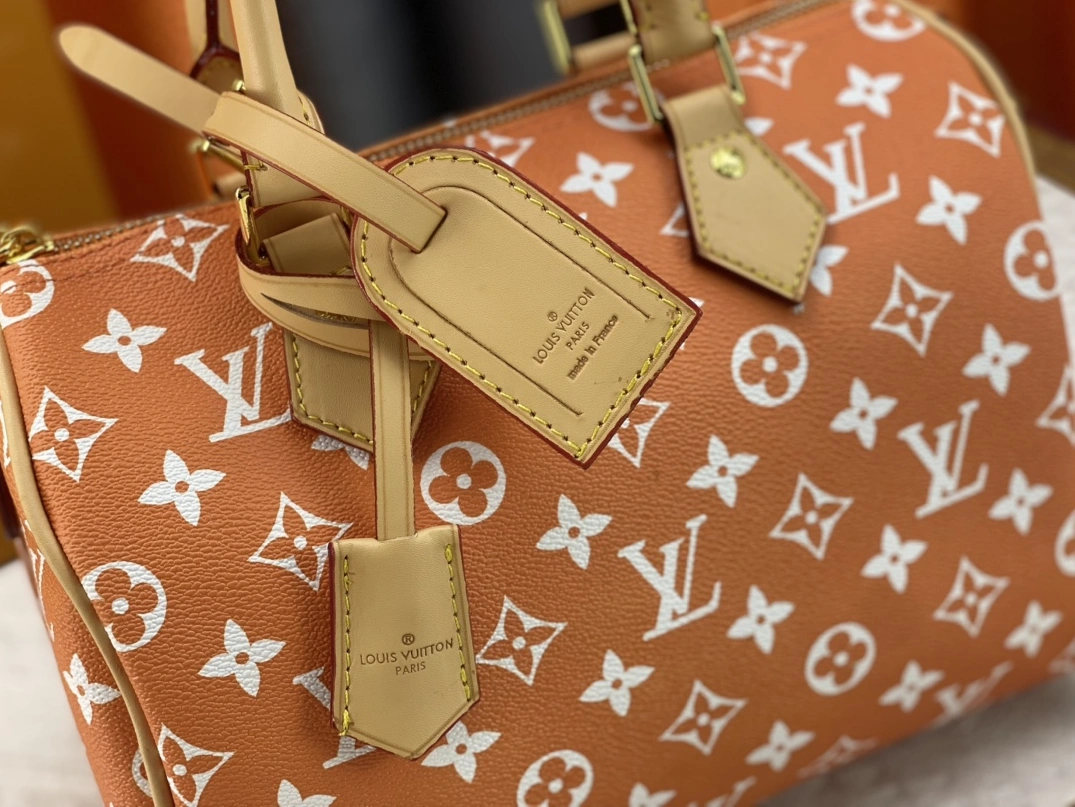 NewStyle 1740 Louis Vuitton AAA Quality Handbags For Women - Image 5