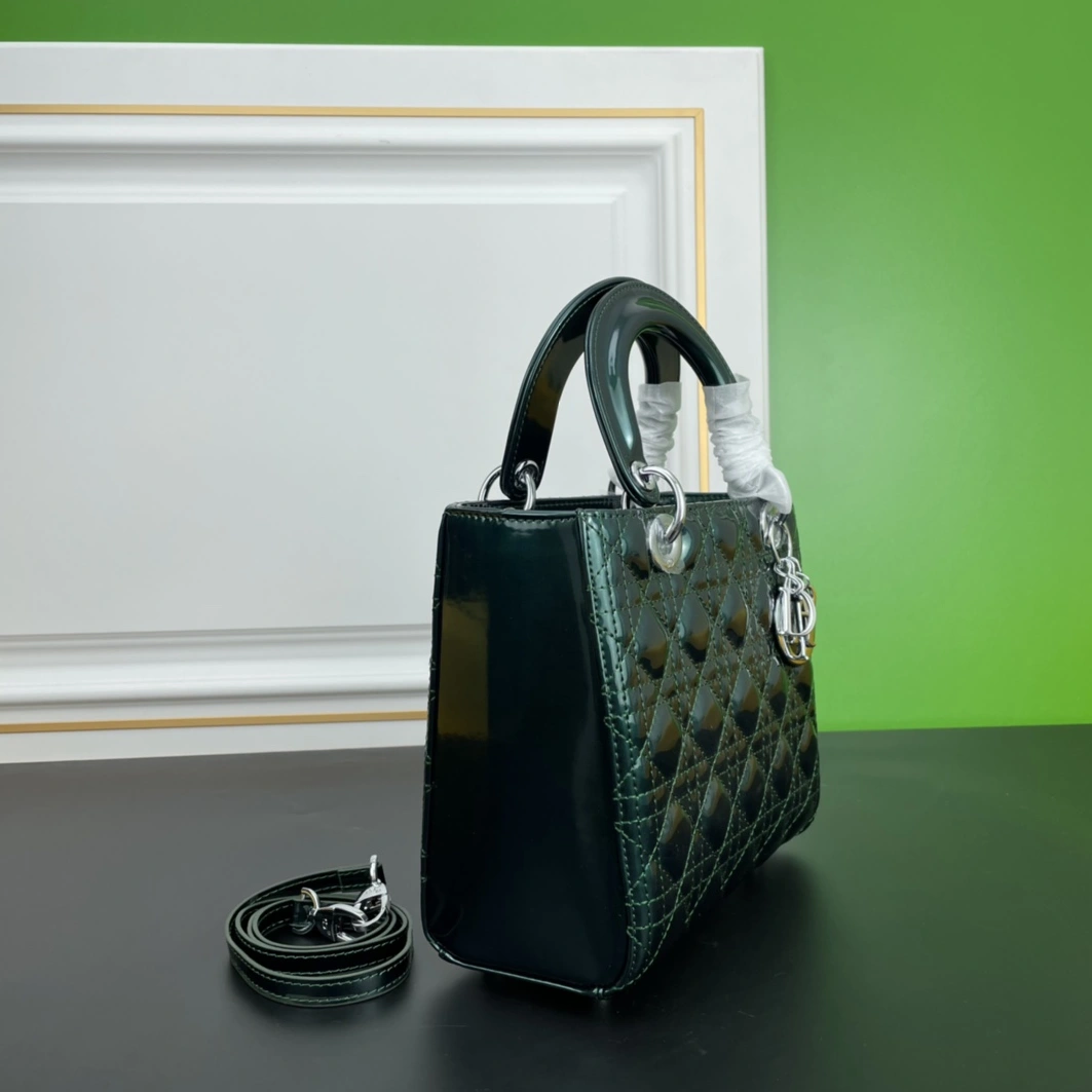 Resilient 770 Christian Dior AAA Quality Handbags For Women