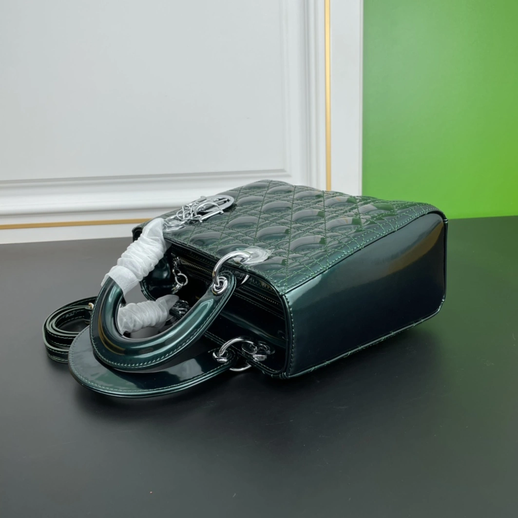 Resilient 770 Christian Dior AAA Quality Handbags For Women - Image 6