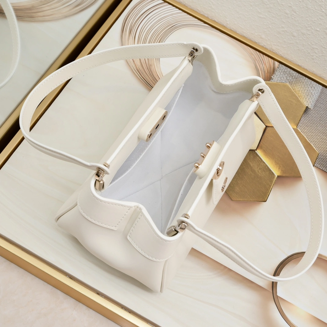 StreetReady 9710 Christian Dior AAA Quality Shoulder Bags For Women - Image 7