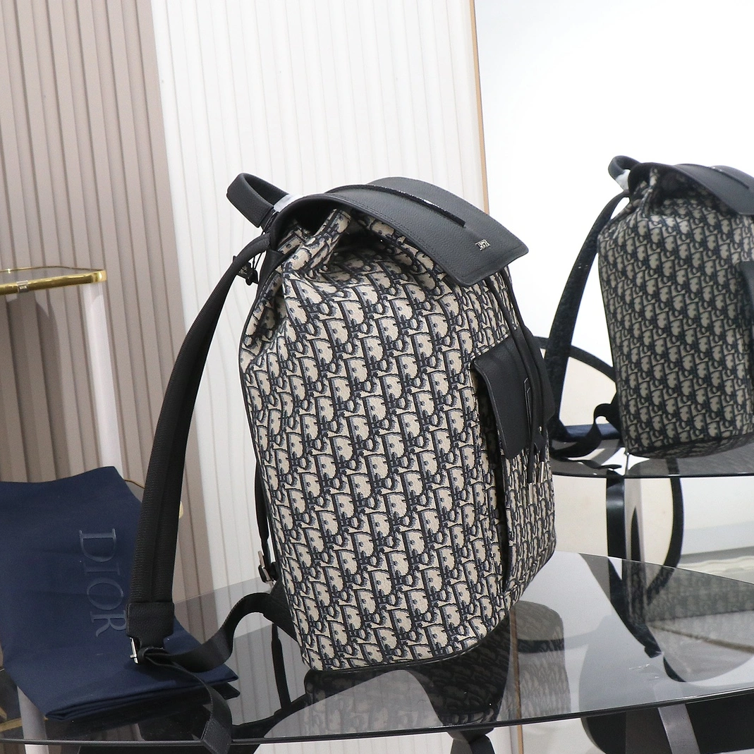WellDesigned 3302 Christian Dior AAA Man Backpacks