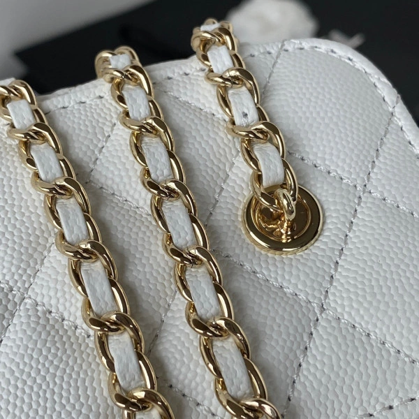 CHANEL SMALL VANITY WITH CHANELASSIC CHAIN GoAnywhere 1236 - Image 5