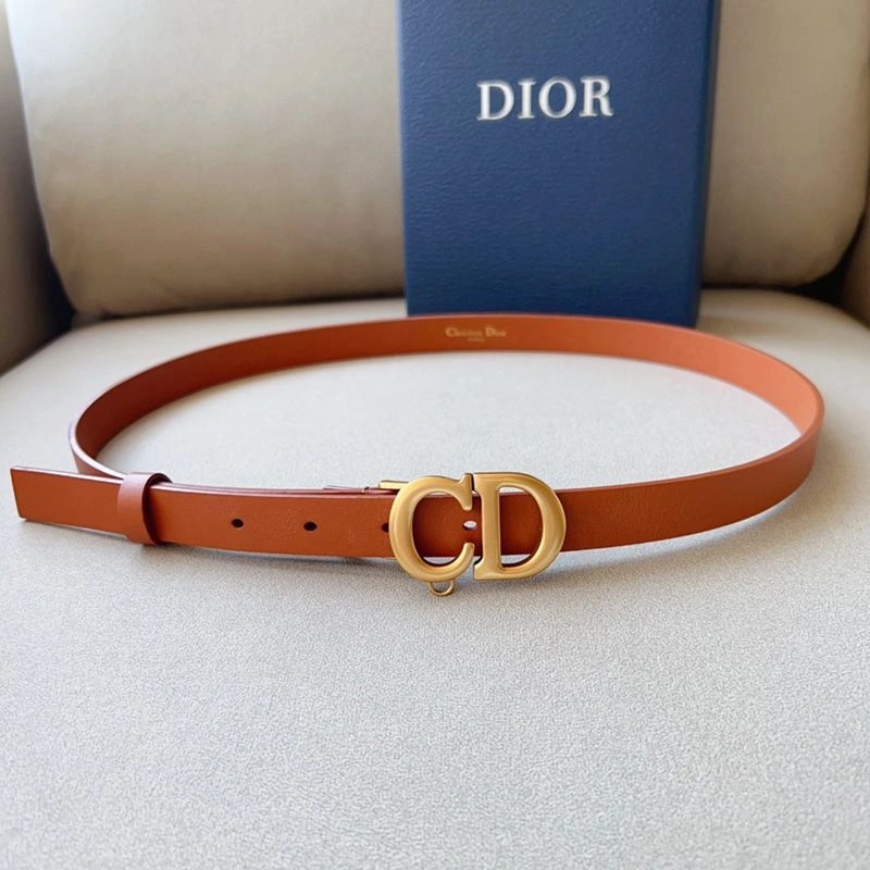 Dior Saddle Removable Pouch Belt 20MM Ultrasoft Calfskin Brown - Image 4