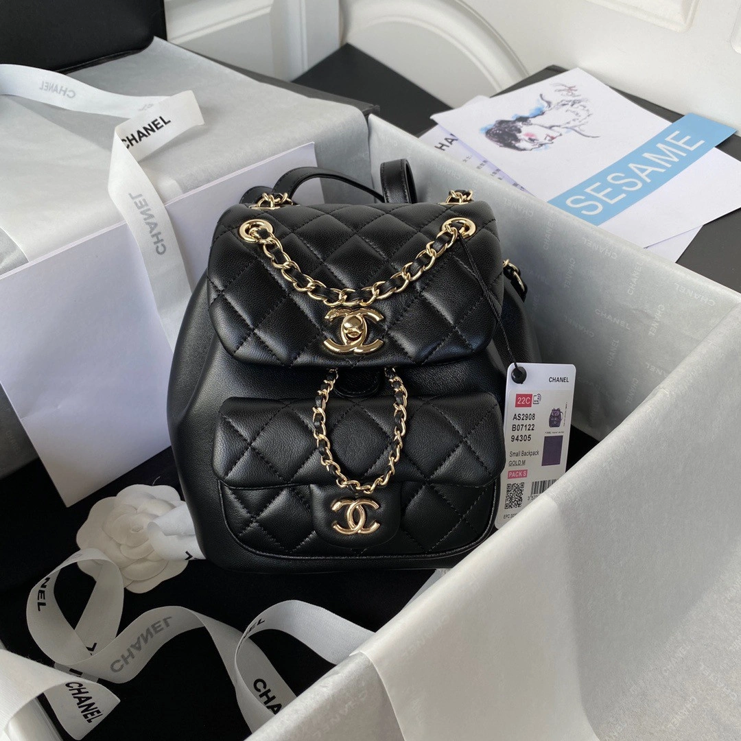 DailyWear CHANEL BACKPACK 143